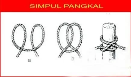 /assets/tali-temali/simpul-pangkal.webp