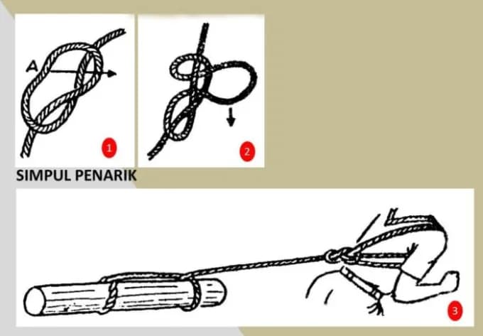 /assets/tali-temali/simpul-penarik.webp